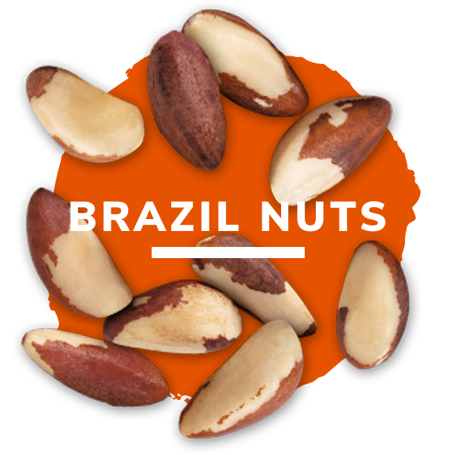 Organic Brazil Nuts - Raw Protein, Fiber, Fatty Acids – Foods