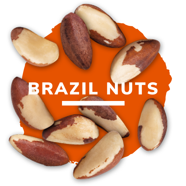 Brazil Nuts Nuthealth