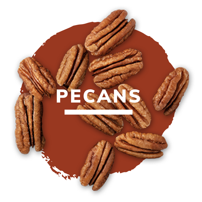 pecans-nuthealth