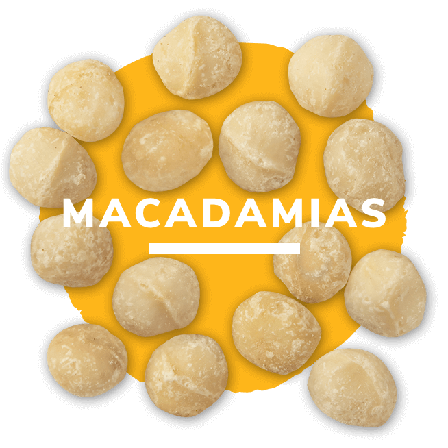 Macadamias