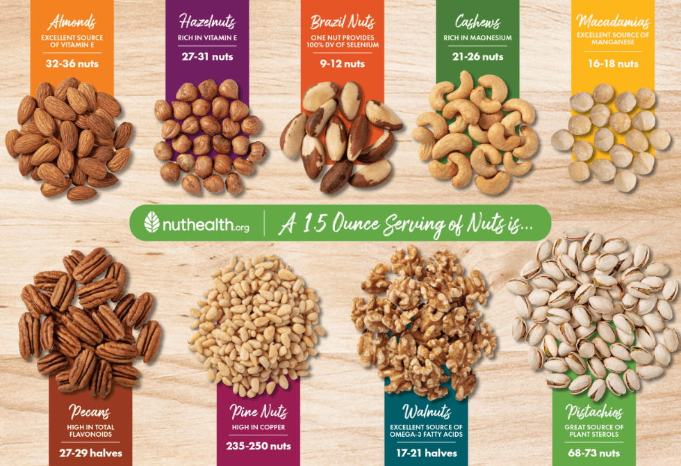 Tree Nuts infographic poster thumbnail